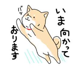 Usable Japanese midget Shiba sticker sticker #10894663
