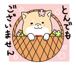 Usable Japanese midget Shiba sticker sticker #10894665