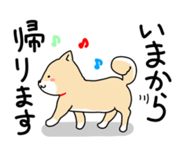 Usable Japanese midget Shiba sticker sticker #10894667