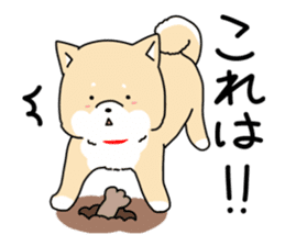 Usable Japanese midget Shiba sticker sticker #10894669