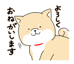 Usable Japanese midget Shiba sticker sticker #10894672