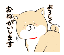 Usable Japanese midget Shiba sticker sticker #10894672