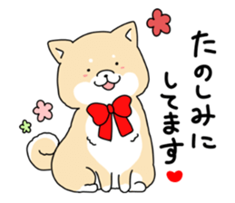 Usable Japanese midget Shiba sticker sticker #10894677