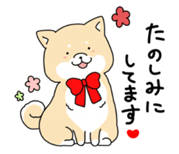 Usable Japanese midget Shiba sticker sticker #10894677