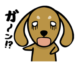 Dachs shop sticker #10896521