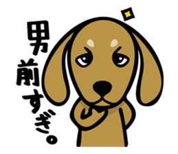 Dachs shop sticker #10896536