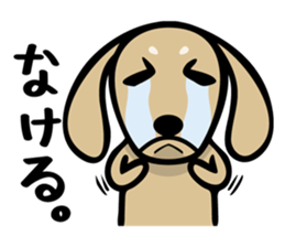 Dachs shop sticker #10896538