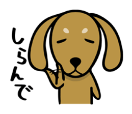 Dachs shop sticker #10896559