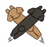 Fluffy Poodle Life sticker #10898217