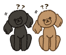 Fluffy Poodle Life sticker #10898218