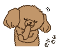 Fluffy Poodle Life sticker #10898220