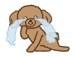 Fluffy Poodle Life sticker #10898223