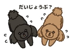 Fluffy Poodle Life sticker #10898225