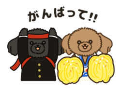 Fluffy Poodle Life sticker #10898228