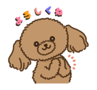 Fluffy Poodle Life sticker #10898229