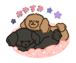 Fluffy Poodle Life sticker #10898233