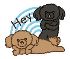 Fluffy Poodle Life sticker #10898234