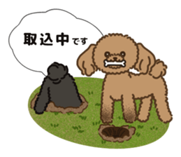 Fluffy Poodle Life sticker #10898236