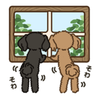 Fluffy Poodle Life sticker #10898241