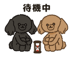 Fluffy Poodle Life sticker #10898242