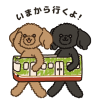 Fluffy Poodle Life sticker #10898244