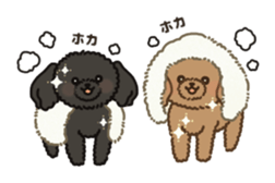 Fluffy Poodle Life sticker #10898247