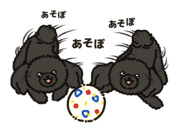 Fluffy Poodle Life sticker #10898250