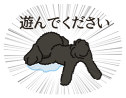 Fluffy Poodle Life sticker #10898251