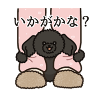 Fluffy Poodle Life sticker #10898252