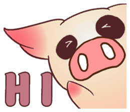 Pigs do not fight sticker #10901798