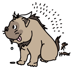 Baby Dognu's wonderful life