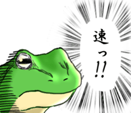 straight frogoo sticker #10902672