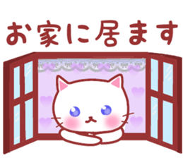 A cat and rabbit sticker #10902789