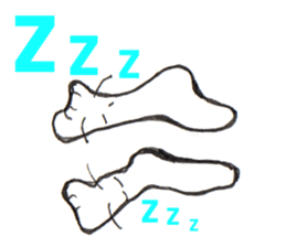 Feeling of socks sticker #10903105