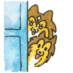 Surprising Shelties (English)