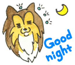 Surprising Shelties (English) sticker #10903337