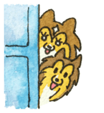 Surprising Shelties (English) sticker #10903350