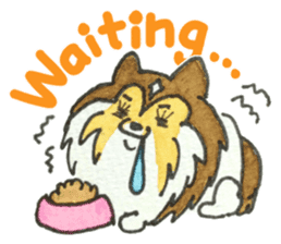 Surprising Shelties (English) sticker #10903369