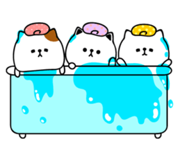 Own pace kittens sticker #10903523