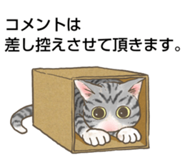 CAT IN THE BOX and ... sticker #10904230
