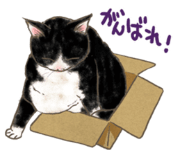 CAT IN THE BOX and ... sticker #10904236