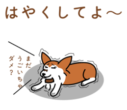 DOG ALLSTARS sticker #10904886