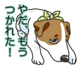 Wanko-Biyori Vol.3 JRT sticker #10906076