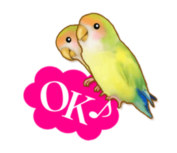 Real bird sticker! third sticker #10906097