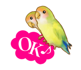 Real bird sticker! third sticker #10906097