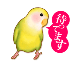 Real bird sticker! third sticker #10906098