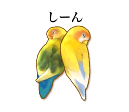 Real bird sticker! third sticker #10906099