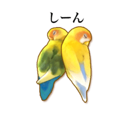 Real bird sticker! third sticker #10906099
