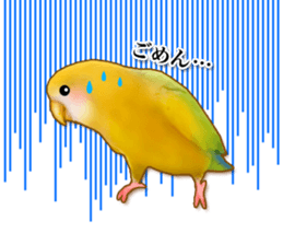 Real bird sticker! third sticker #10906100