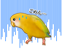 Real bird sticker! third sticker #10906100